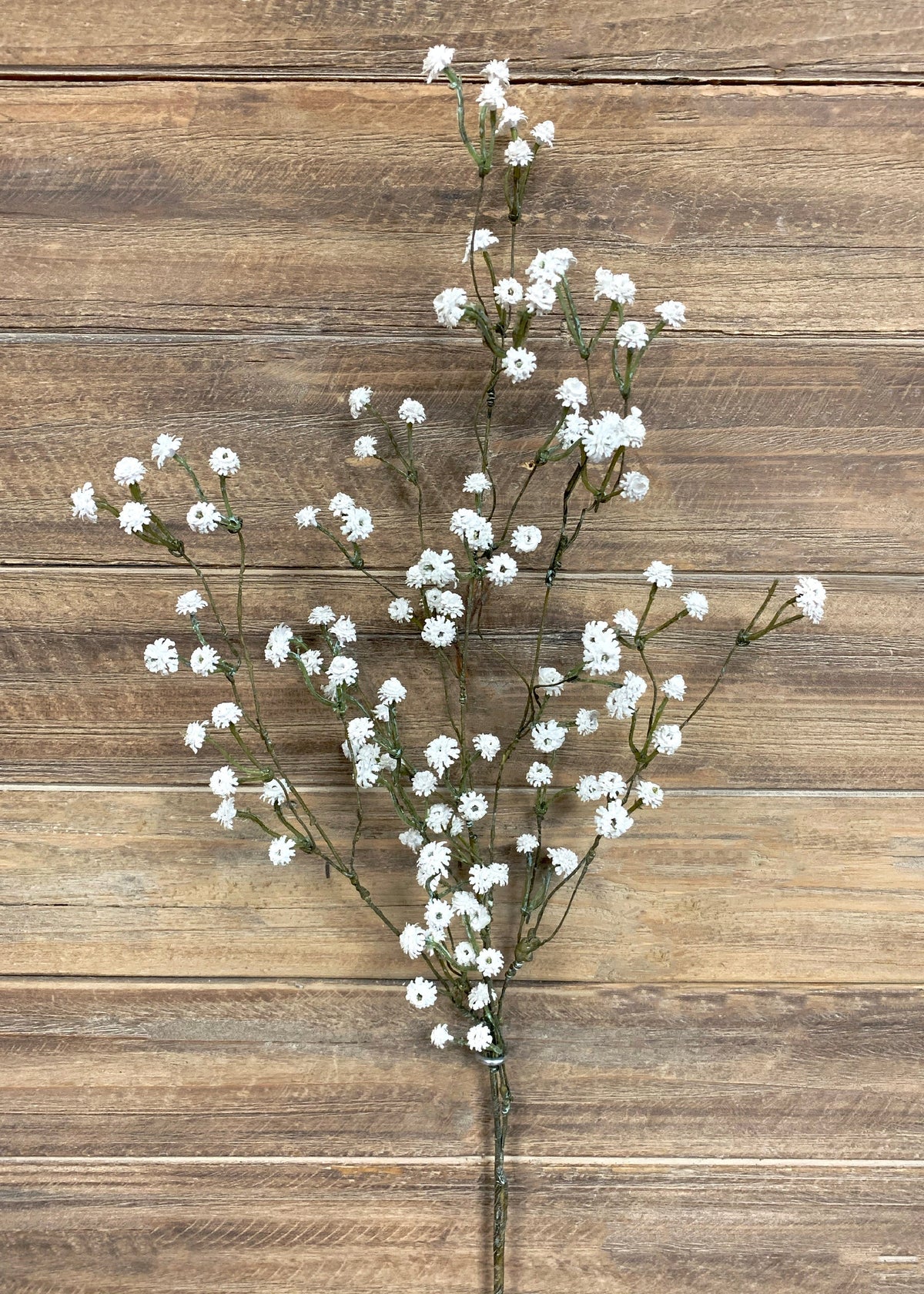 Baby's Breath