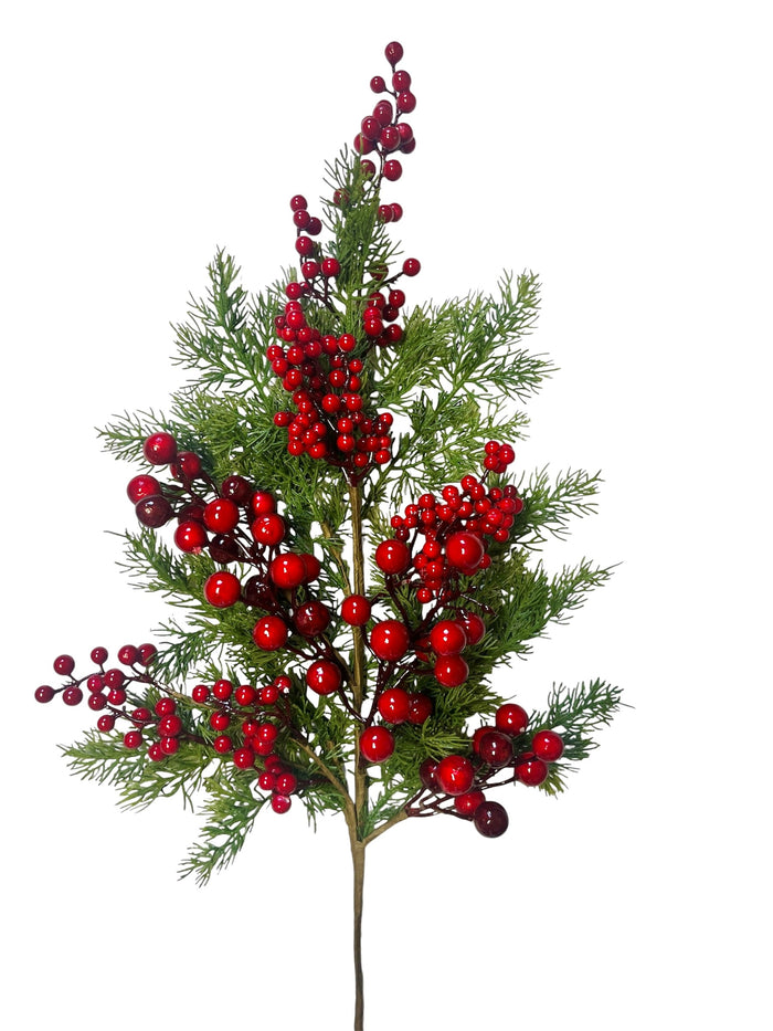 Cedar w/Red Berries
