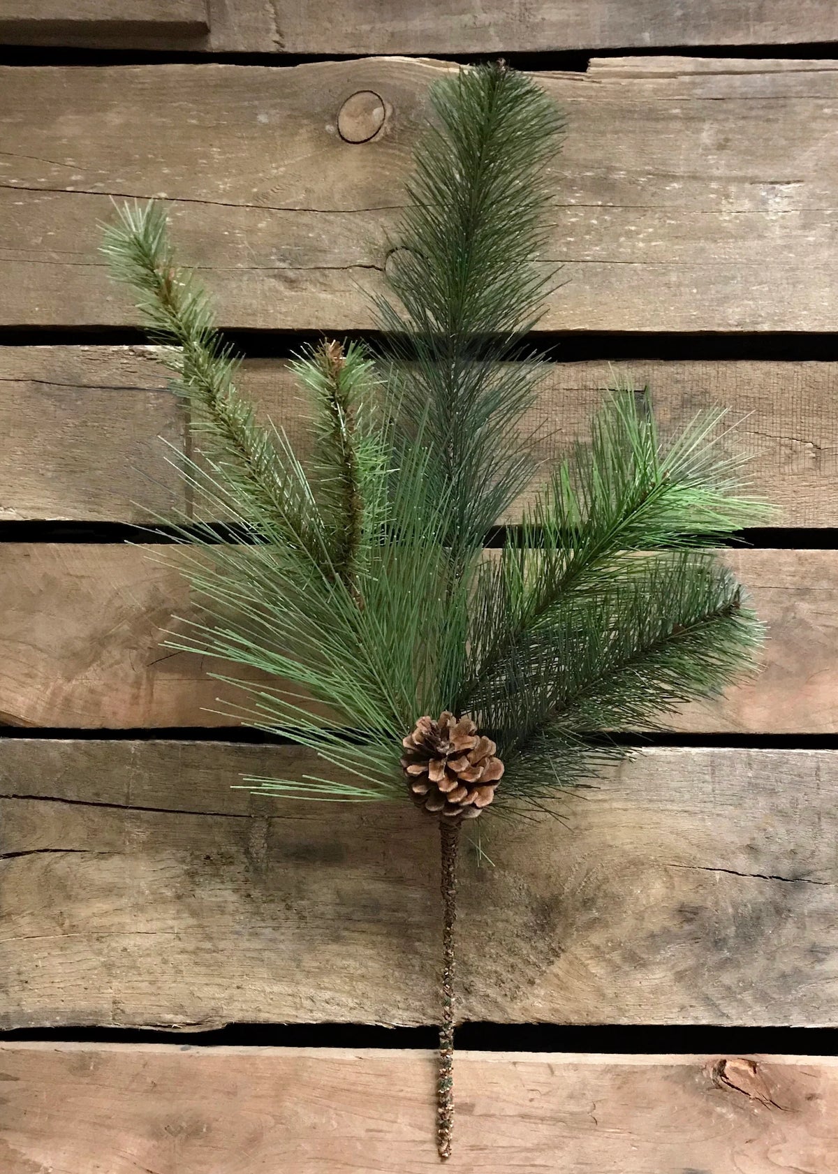 Mixed Pine Branch
