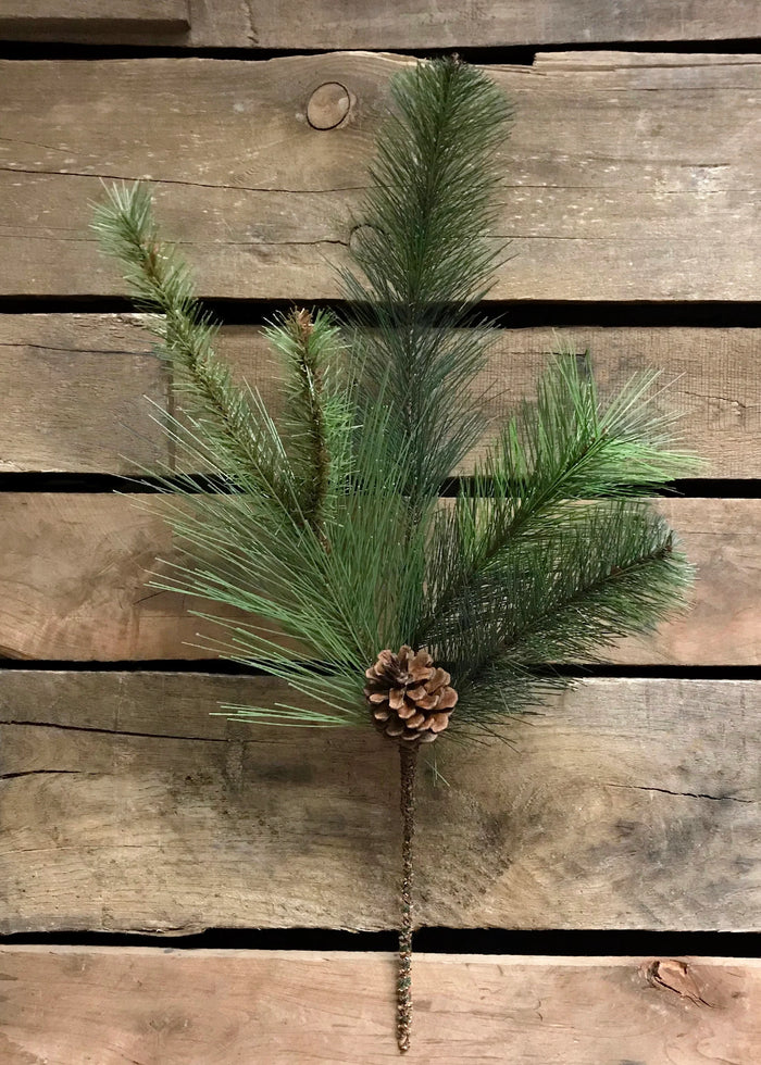Mixed Pine Branch