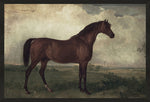 Vintage Horse 2